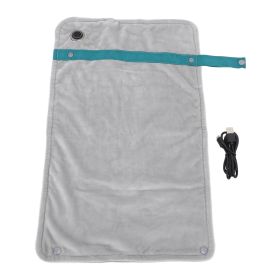 USB Heated Blanket with Temperature Control Mutipurpose Electric Heated Throw Warm Cozy Knee Heating Blanket Home Office Silver (Option: silvery)